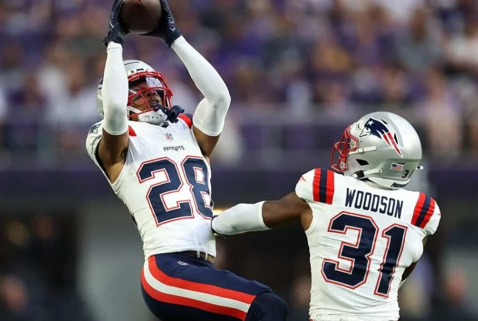 new england patriots vs minnesota vikings match player stats Breakdown